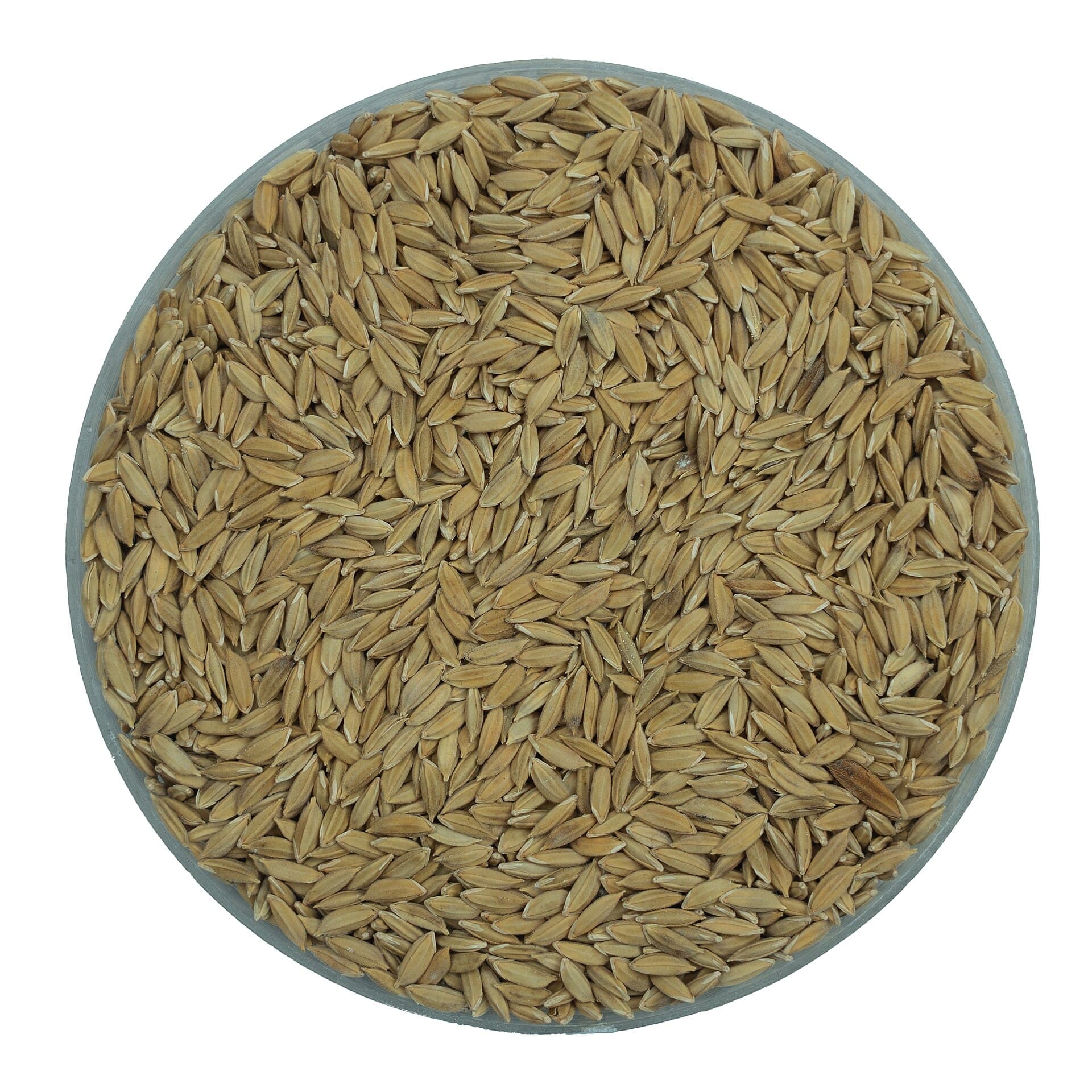 খোলা জলের ধারের একটি মাঠ